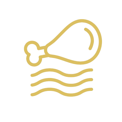 Chicken bone icon