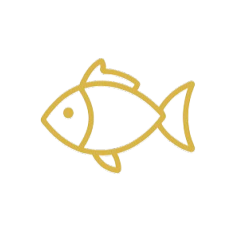 Fish icon